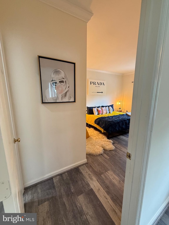 6541 Grange Ln Unit 401, Alexandria, VA 22315 - hallway with wood finished floors and crown molding