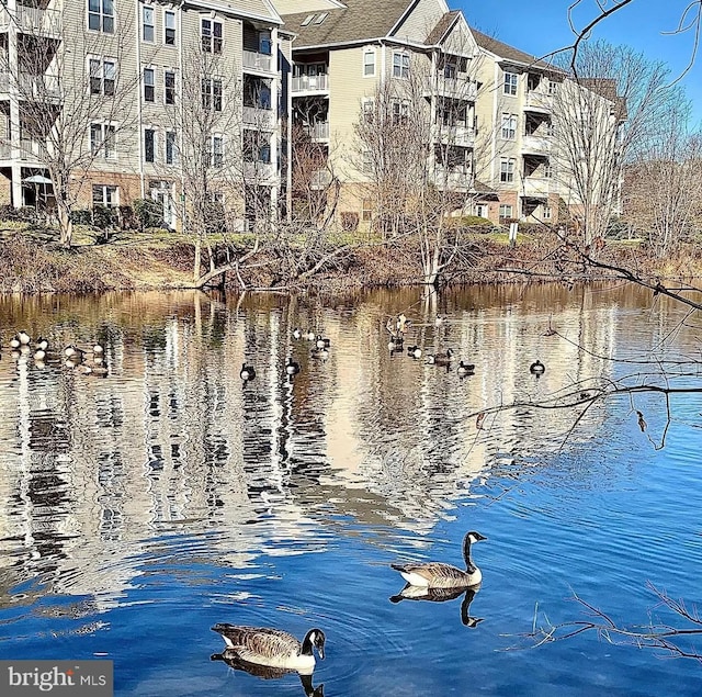 6541 Grange Ln Unit 401, Alexandria, VA 22315 - water view