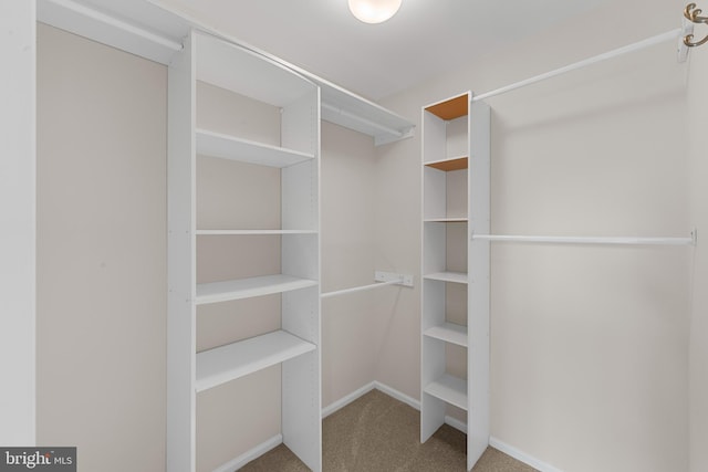 26 Portsmouth Ct, Holland, PA 18966 - spacious closet with carpet