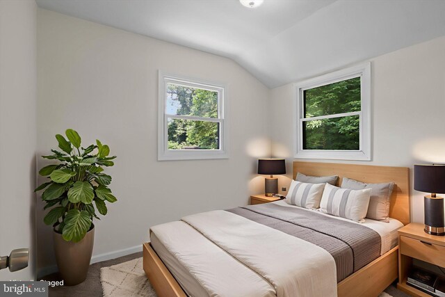 618 Cabin Branch Dr, Capitol Heights, MD 20743 - bedroom featuring vaulted ceiling and carpet floors