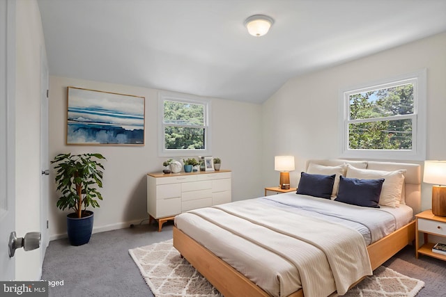 618 Cabin Branch Dr, Capitol Heights, MD 20743 - carpeted bedroom with vaulted ceiling and multiple windows