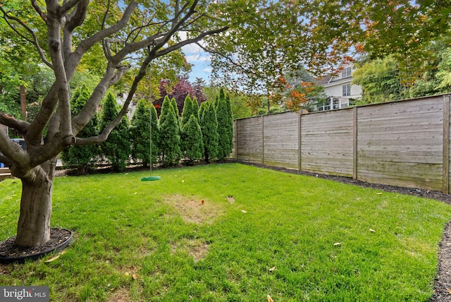 2815 39th St NW, Washington, DC 20007 - view of yard