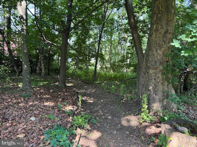 158 Summit Dr, York, PA 17403 - view of wooded area