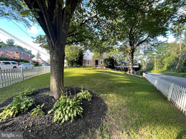 7301 Granite Rd, Elkins Park, PA 19027 - view of yard