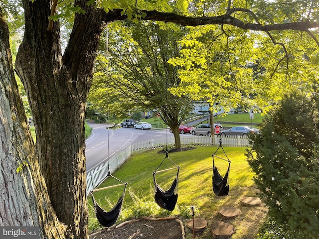 7301 Granite Rd, Elkins Park, PA 19027 - view of yard