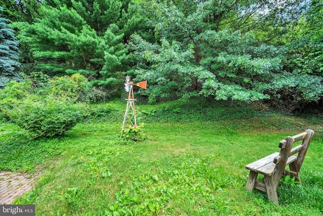 2605 N Sherman St, York, PA 17406 - view of yard