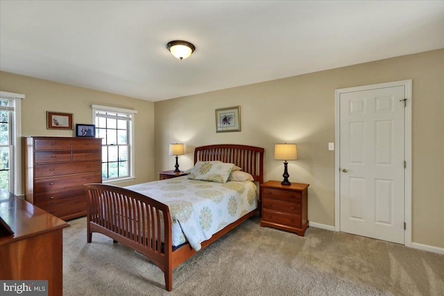 32 Duffield Dr, Lititz, PA 17543 - bedroom featuring multiple windows and carpet