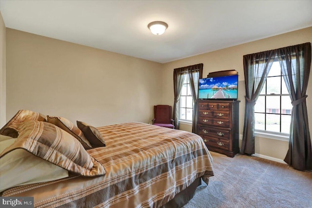 32 Duffield Dr, Lititz, PA 17543 - bedroom featuring carpet and baseboards