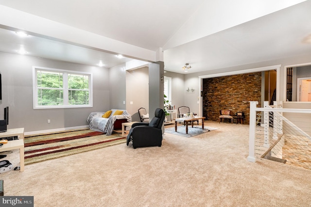 3789 Spring Rd, Carlisle, PA 17013 - carpeted living area with plenty of natural light and vaulted ceiling