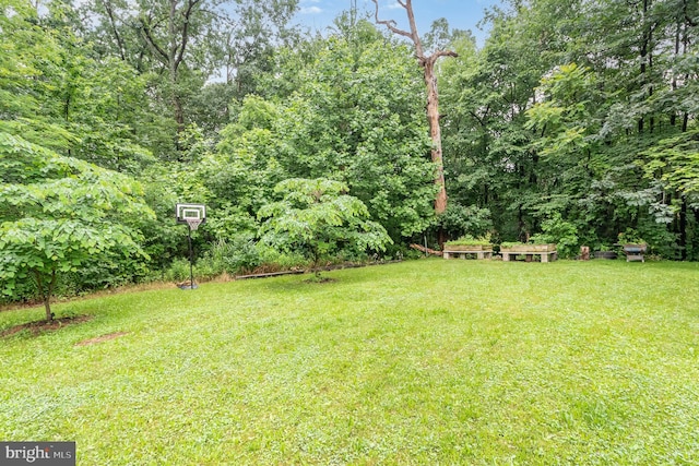 3789 Spring Rd, Carlisle, PA 17013 - view of green lawn