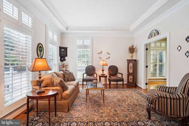 114 Lake St, Gaithersburg, MD 20878 - living area with plenty of natural light, wood finished floors, crown molding, and a tray ceiling