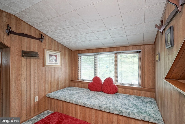 328 Spruce St, Bridgeton, NJ 08302 - bedroom with wooden walls and lofted ceiling