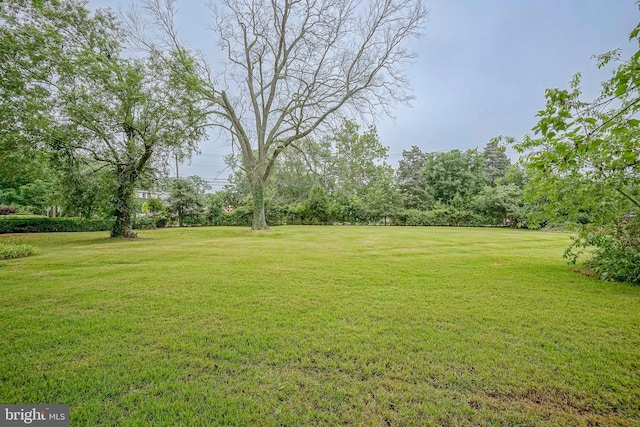 328 Spruce St, Bridgeton, NJ 08302 - view of green lawn