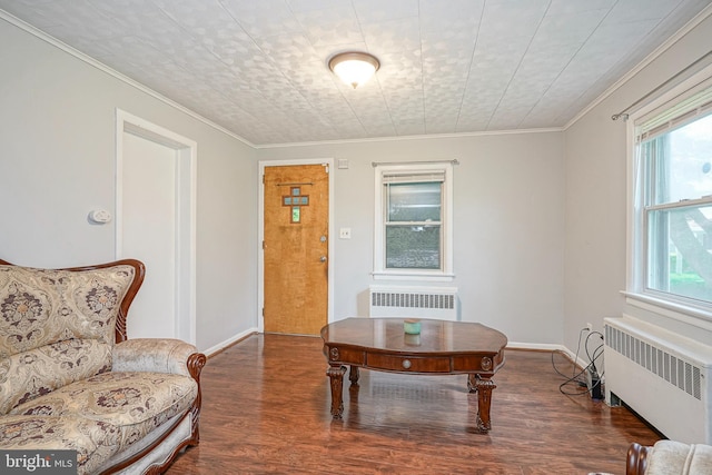 328 Spruce St, Bridgeton, NJ 08302 - living room with radiator heating unit, wood finished floors, ornamental molding, and plenty of natural light