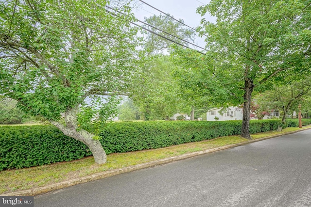 328 Spruce St, Bridgeton, NJ 08302 - surrounding community