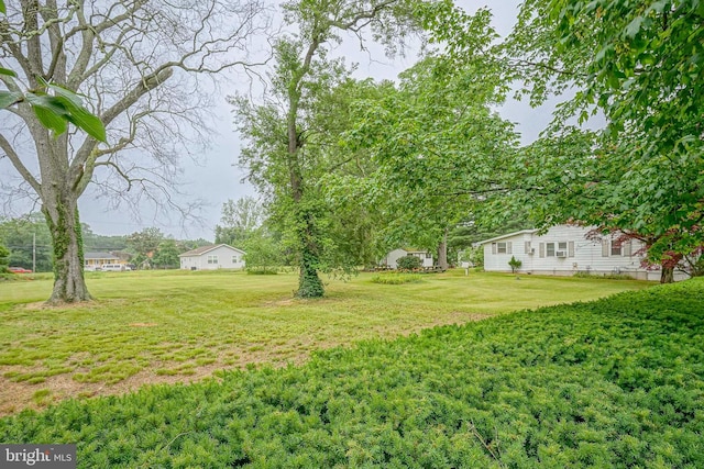 328 Spruce St, Bridgeton, NJ 08302 - view of grassy yard