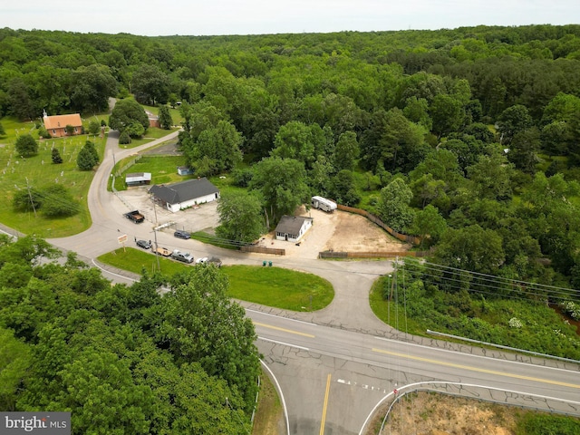 10800 Merrimack Pl, Newburg, MD 20664 - bird's eye view of a forest