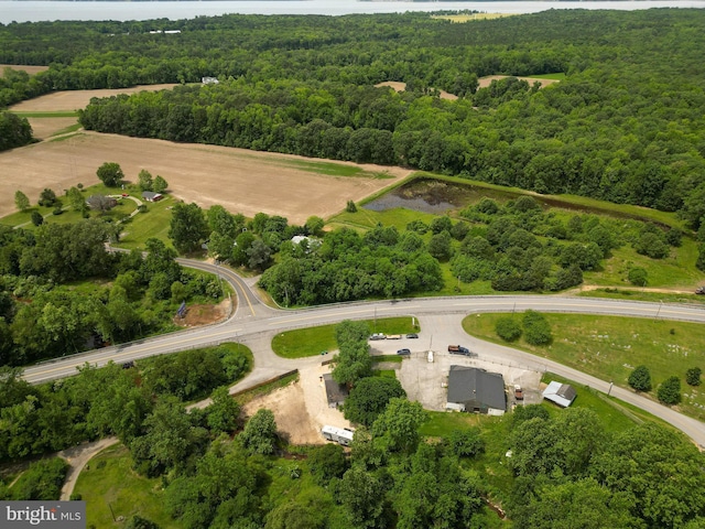 10800 Merrimack Pl, Newburg, MD 20664 - drone / aerial view of a forest