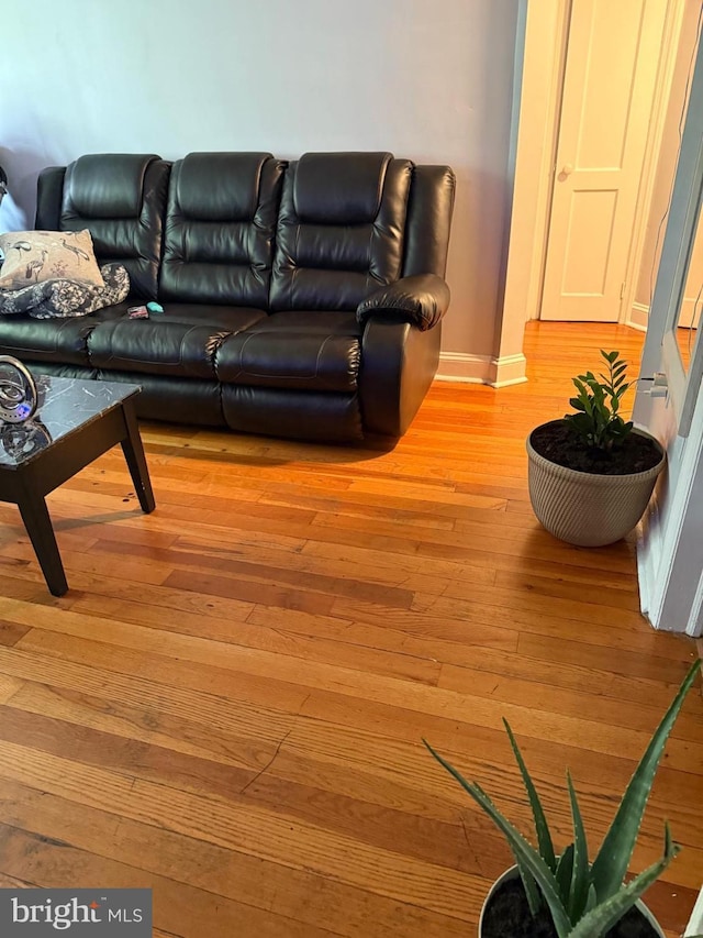 2212 Cove Rd, Pennsauken, NJ 08110 - living area with light wood-style flooring and baseboards
