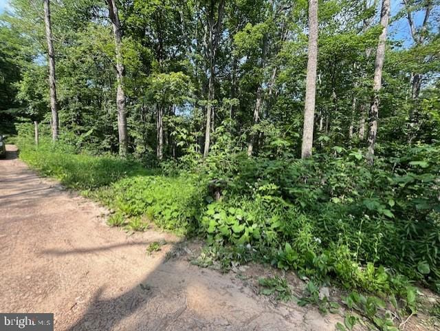 659 Falconwood Rd, Paw Paw, WV 25434 - view of nature