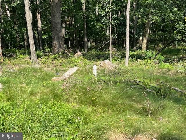 659 Falconwood Rd, Paw Paw, WV 25434 - view of local wilderness