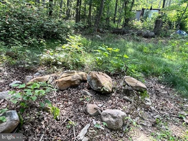 659 Falconwood Rd, Paw Paw, WV 25434 - view of wooded area
