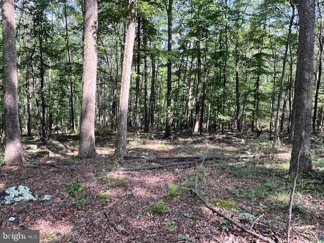 659 Falconwood Rd, Paw Paw, WV 25434 - view of wooded area