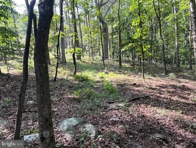 659 Falconwood Rd, Paw Paw, WV 25434 - view of woods