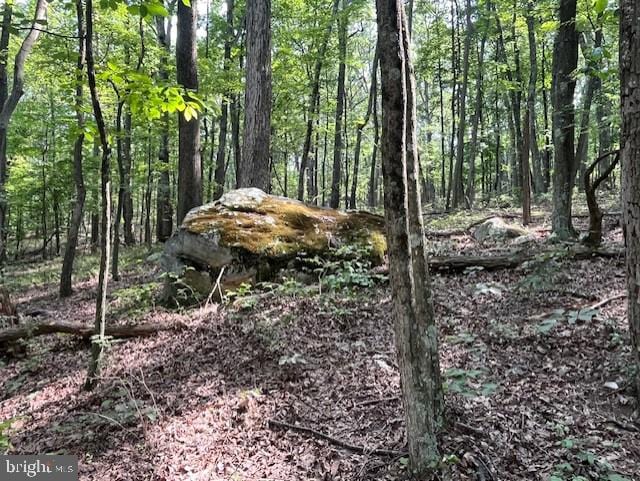 659 Falconwood Rd, Paw Paw, WV 25434 - view of woods
