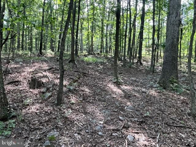 659 Falconwood Rd, Paw Paw, WV 25434 - view of tree filled area