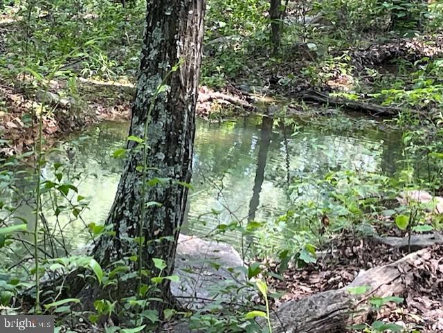 659 Falconwood Rd, Paw Paw, WV 25434 - view of undeveloped land
