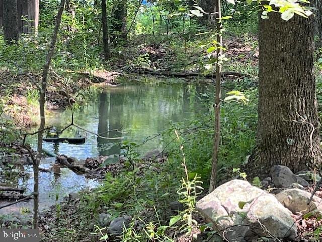 659 Falconwood Rd, Paw Paw, WV 25434 - water view