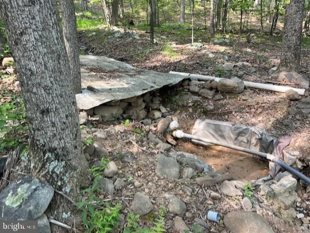 659 Falconwood Rd, Paw Paw, WV 25434 - view of undeveloped land