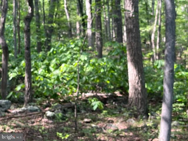 659 Falconwood Rd, Paw Paw, WV 25434 - view of undeveloped land