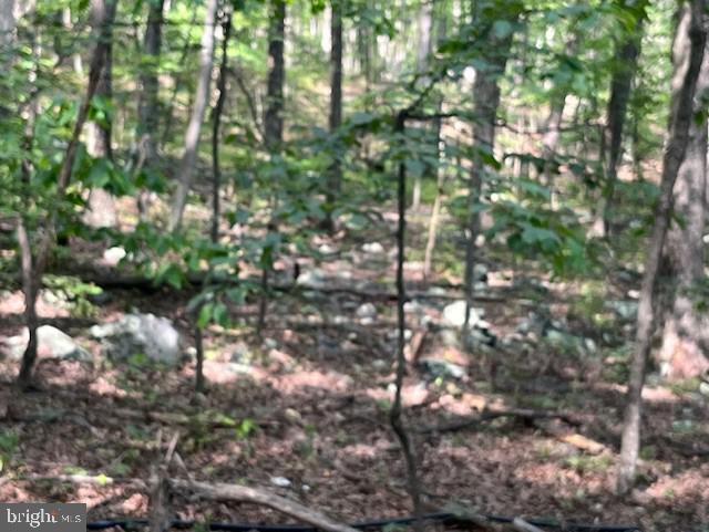 659 Falconwood Rd, Paw Paw, WV 25434 - view of nature