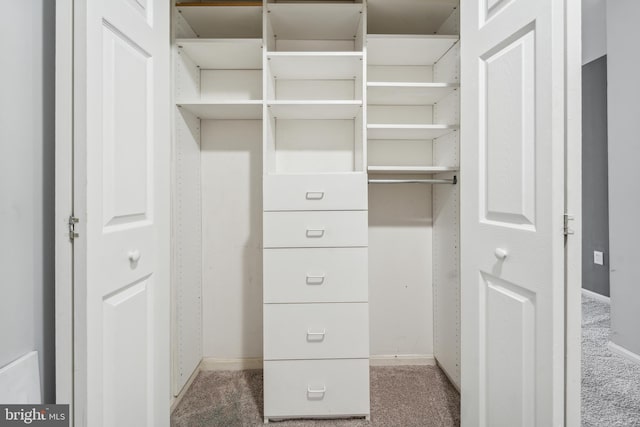 9810 Kingsbridge Dr Unit 102, Fairfax, VA 22031 - view of closet