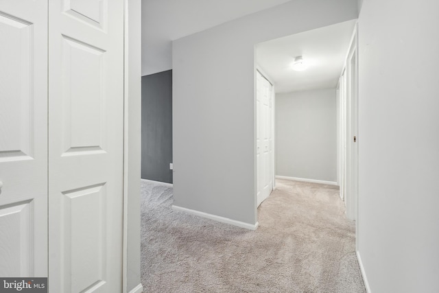 9810 Kingsbridge Dr Unit 102, Fairfax, VA 22031 - hallway featuring carpet flooring and baseboards