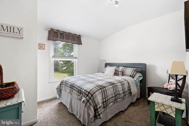 478 Alexander Ave, Maple Shade, NJ 08052 - bedroom with carpet flooring and vaulted ceiling