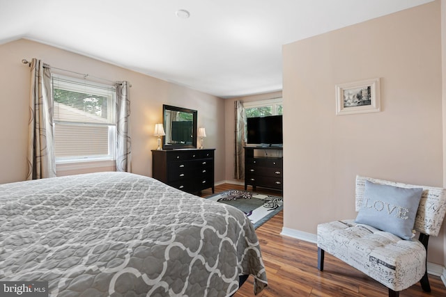 478 Alexander Ave, Maple Shade, NJ 08052 - bedroom featuring wood finished floors, multiple windows, and lofted ceiling