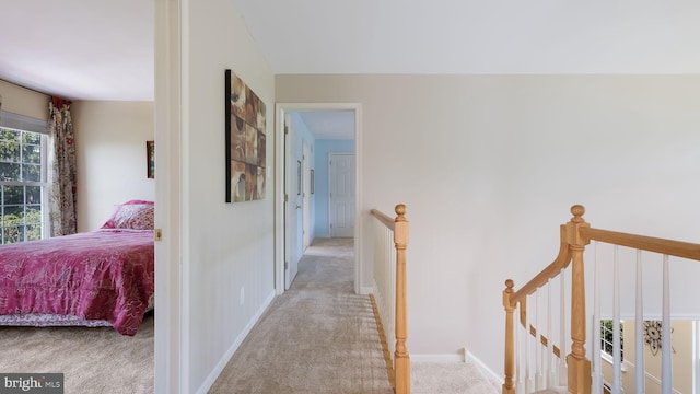 5510 Haverhill Ln, Doylestown, PA 18902 - corridor with an upstairs landing and carpet