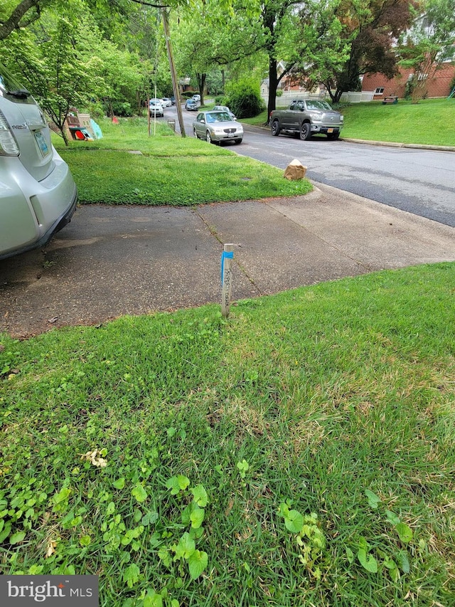 142 Fleetwood Ter, Silver Spring, MD 20910 - view of green lawn