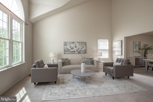 505 Country Pointe Cir, Perkasie, PA 18944 - carpeted living room featuring a towering ceiling