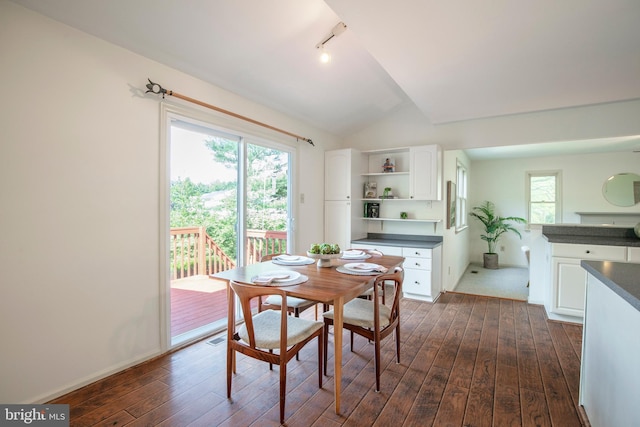 505 Country Pointe Cir, Perkasie, PA 18944 - dining room with dark wood-type flooring, track lighting, healthy amount of natural light, and vaulted ceiling