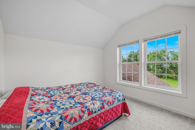 9434 Winchester Ave, Bunker Hill, WV 25413 - carpeted bedroom featuring lofted ceiling
