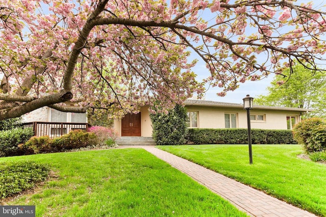 10135 Spring Pools Ln, Columbia, MD 21044 - view of front of house featuring a front lawn