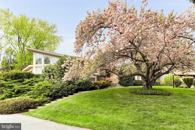 10135 Spring Pools Ln, Columbia, MD 21044 - view of grassy yard