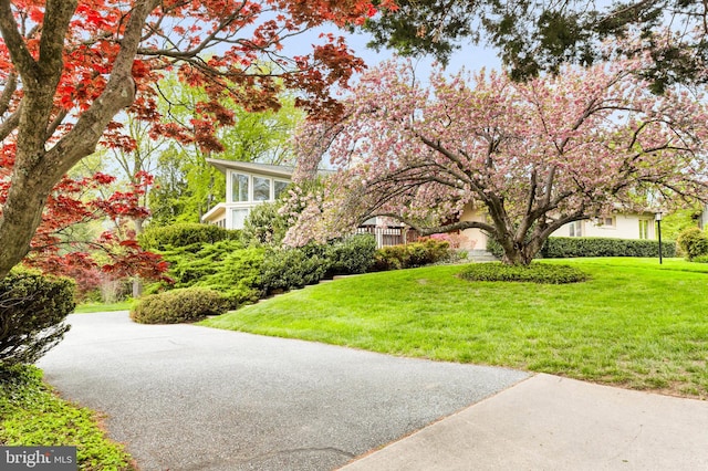 10135 Spring Pools Ln, Columbia, MD 21044 - view of green lawn with driveway