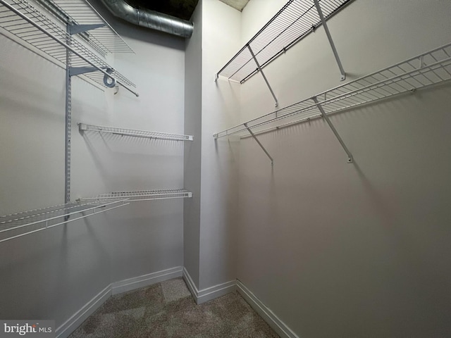 301 Massachusetts Ave NW Unit 301, Washington, DC 20001 - walk in closet with carpet