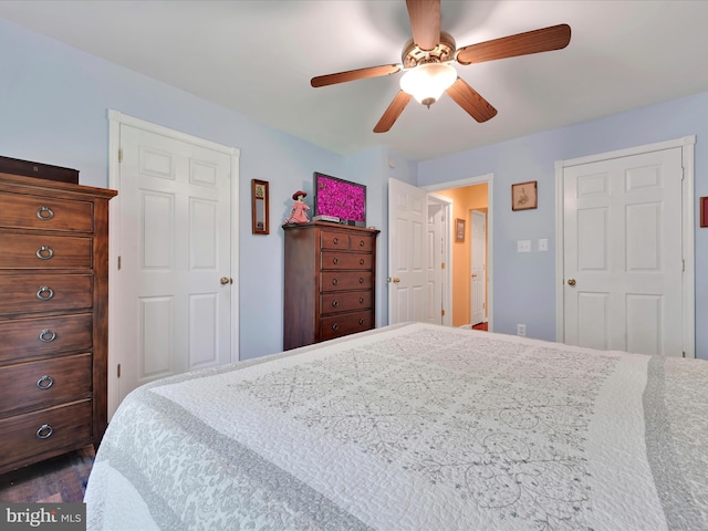 2528 Papoose Dr, Auburn, PA 17922 - bedroom with ceiling fan