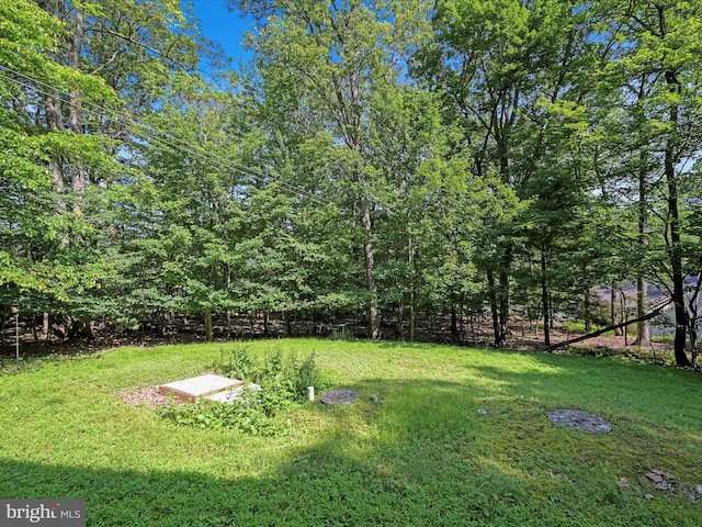 2528 Papoose Dr, Auburn, PA 17922 - view of grassy yard